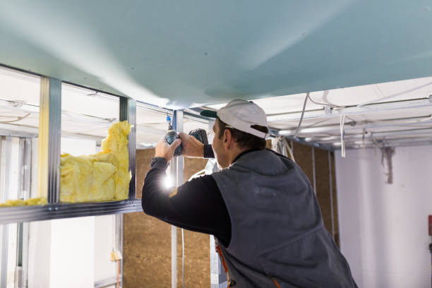 Best Eco-Friendly Insulation in Springville, VA